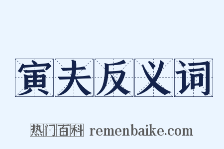 寅夫反义词是什么意思的图片